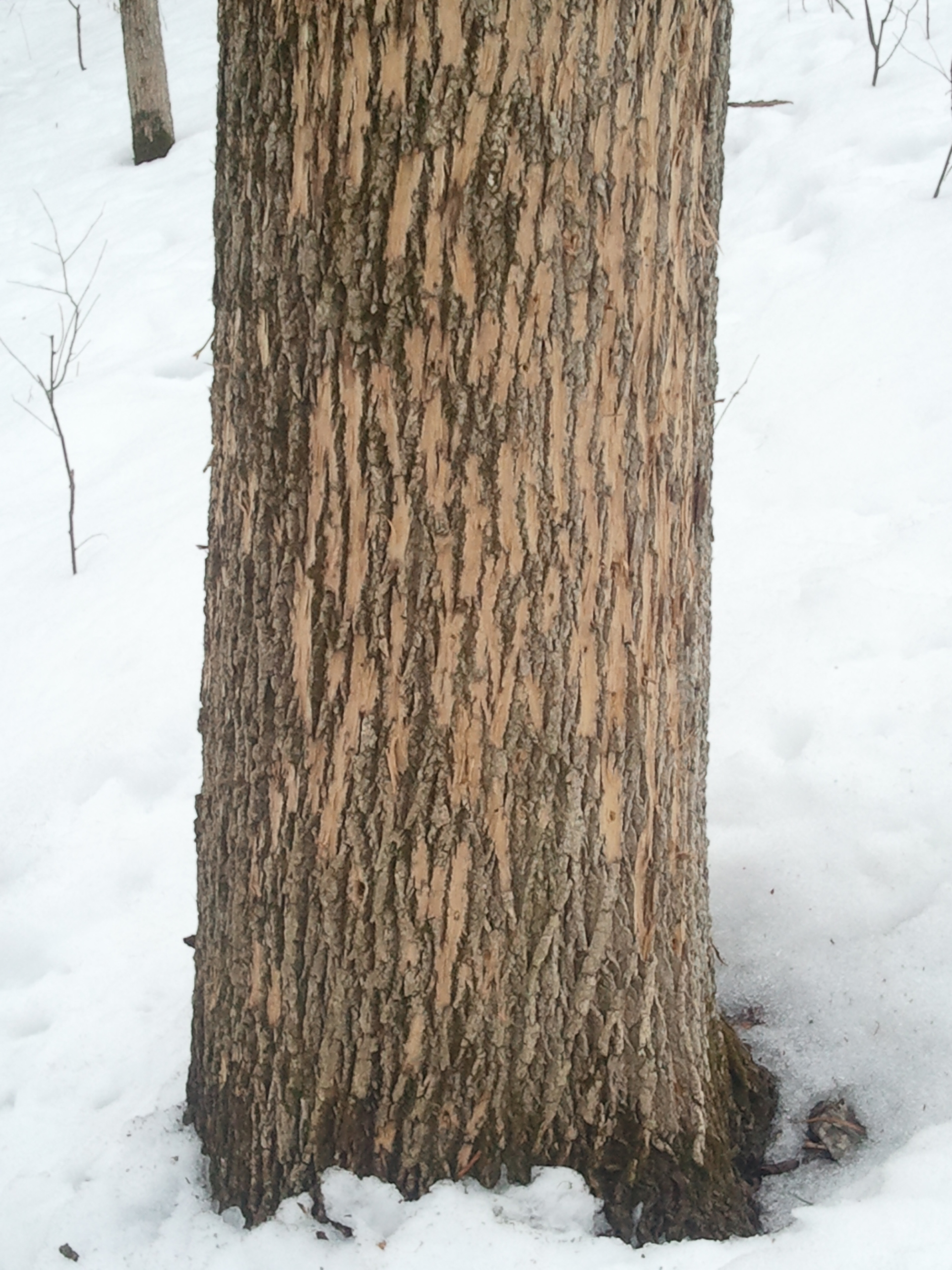 2015-03-10 15.21.19.jpg