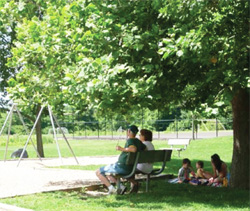Family at community park, urban vorestry.