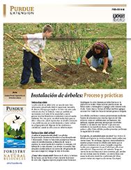 Instalacion de arboles: Proceso y practicas