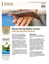 Marine Shrimp Biofloc Systems