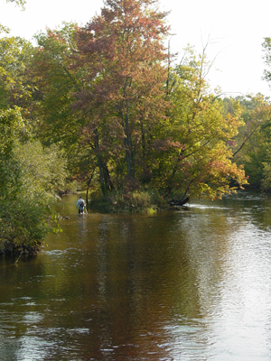 River Scene