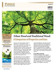 Urban Wood Publication