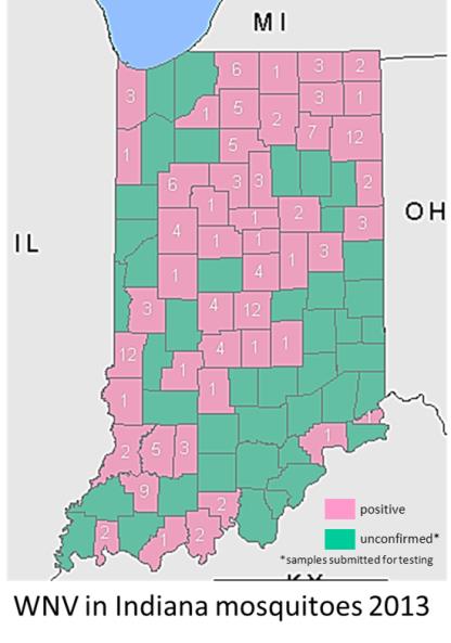 WNV map 2013.jpg