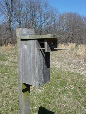nestbox.jpg