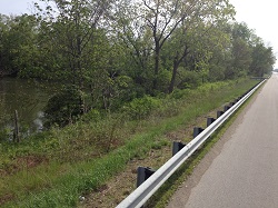 Wetland and road