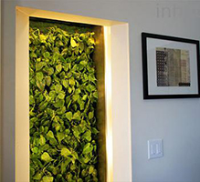 Biowall
