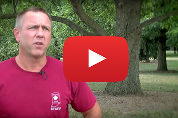 Trees in Times of Drought Video