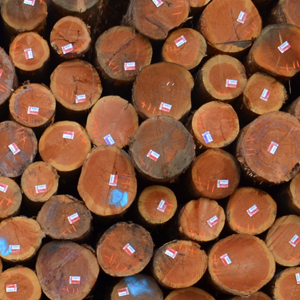 Logs