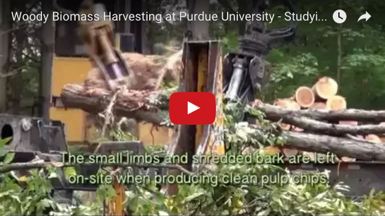 Woody Biomass Harvesting video