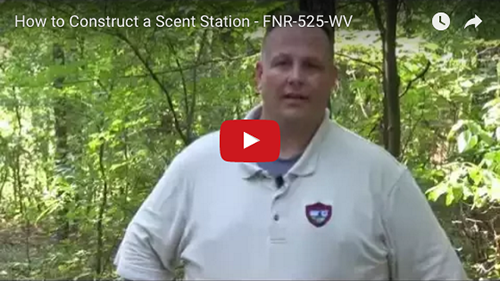 Scent Station video