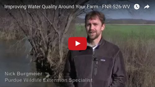 Improving Water Quality Around Your Farm