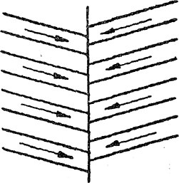 soil picture