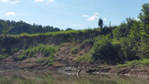 Stream with soft bank.