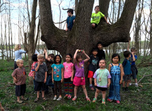 Children climbing on tree, Hands of the Future