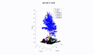 Animation of scanned birch.