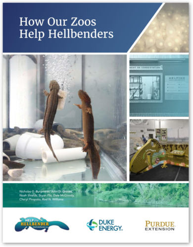 How Our Zoos Help Hellbenders cover page