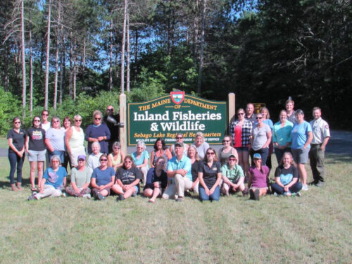Nature of Teaching Main Gray Group