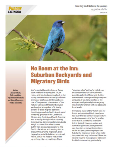 Extension publication, No Room at the Inn: Suburban Backyards and Migratory Birds