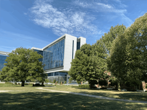 trees benefit health2