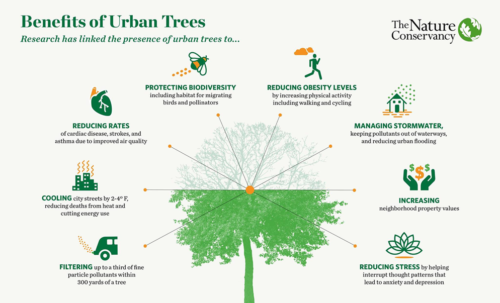 Trees make life better.