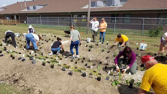Rainscaping, planting to help with water runoff.