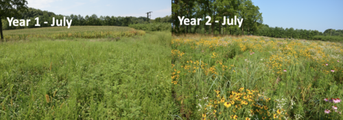 comparison_yr1yr2