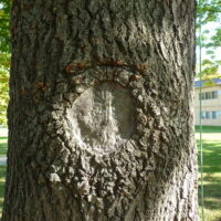 woundClosure