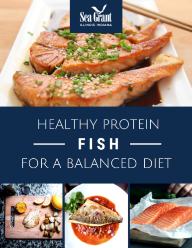 Fish-Healthy Protein For a Balanced Diet Handout