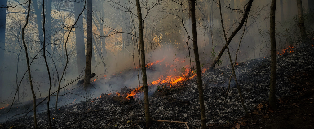 PrescribedFire_Banner