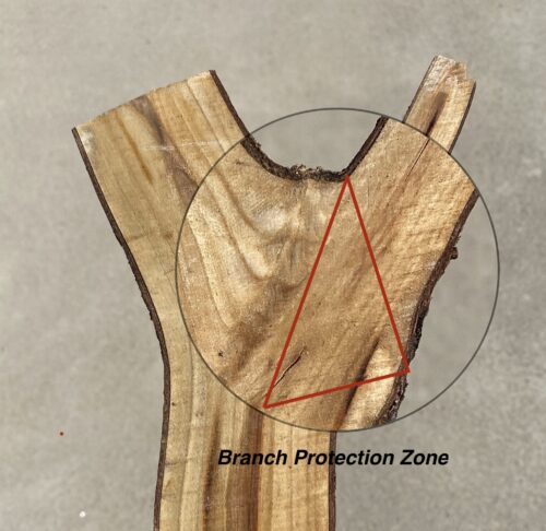 Branch Protection Zone Image