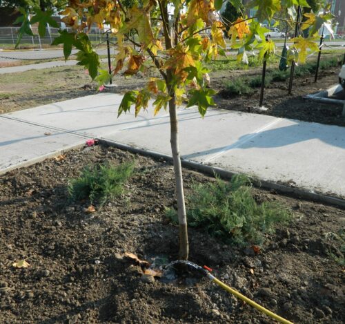 Drought System Photo