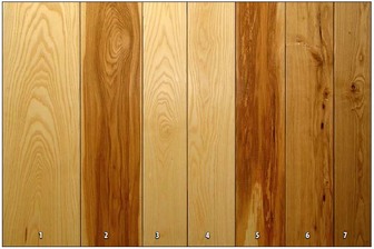 White ash wood grain, Purdue Online Tour: Hardwoods of the Central Midwest.