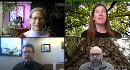 Ask an Expert Zoom screen shot as extension specialists share resources and answer questions regarding wildlife, forestry, community planning and invasive species.