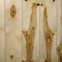 Ohio Buckeye wood panel.