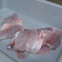 Processed fish, food safety training.