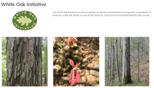 White Oak Initiative website
