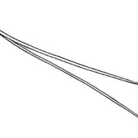Drawing of red pine needles
