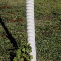 Image on the use of white tree guards can protect the trunk from temperature changes