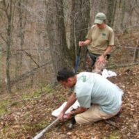 Image of Brian conducting field work in the woods