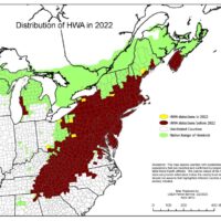 HWA distribution