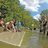 hellbenders augmentation release in blue river