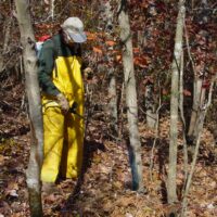 person applying herbicide