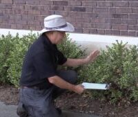 man demonstrating how to look for mites 