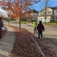 fall tree maintenance