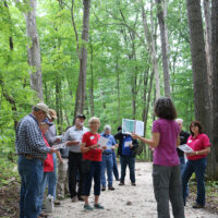 hee field tour forest