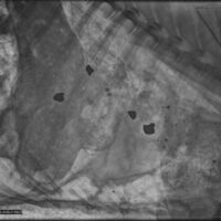 x-ray crop image
