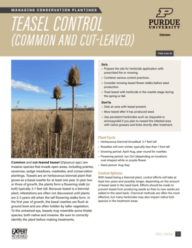 First page of Teasel Control publication.