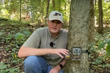 Brook showing tree camera