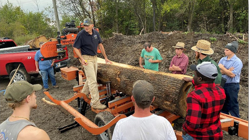 Studying hardwood
