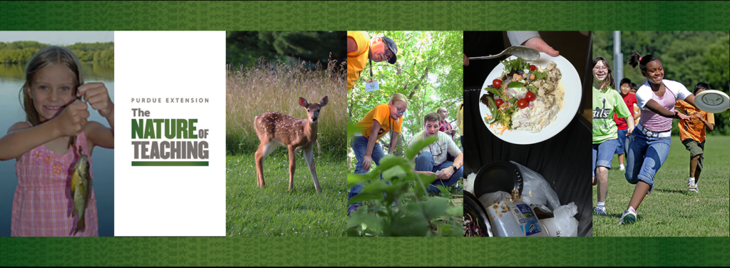 Nature of Teaching